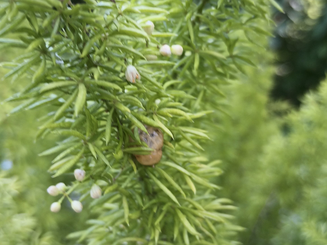 Skylands New Jersey Botanical Gardens-Ringwood必去景点