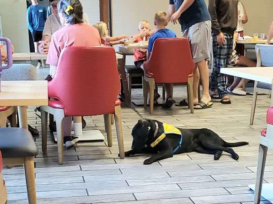 锡达城康福特茵旅馆及套房酒店主图
