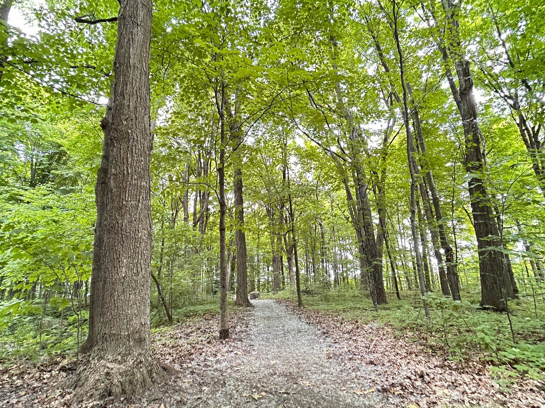 Parc Regional des Iles-de-Saint-Timothee-Salaberry-de-Valleyfield必去景点