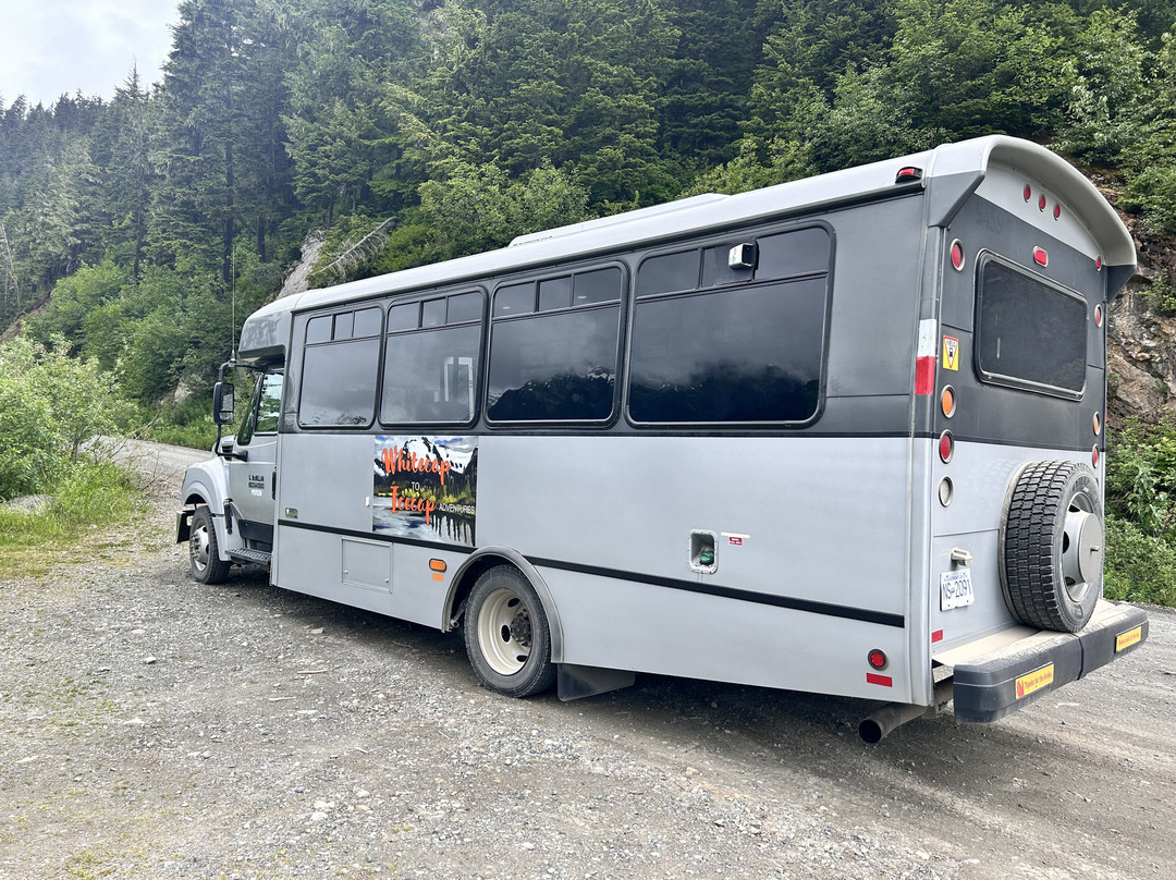 Whitecap to Icecap Adventures-Stewart必去景点