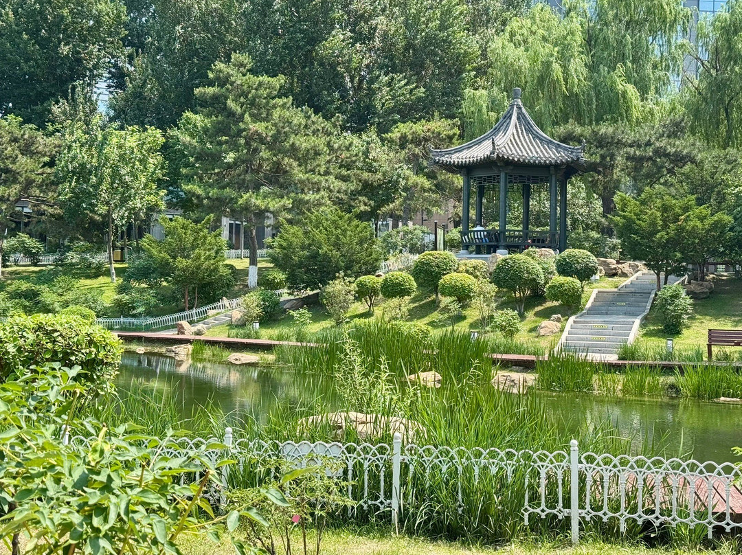 牡丹园-长春市必去景点