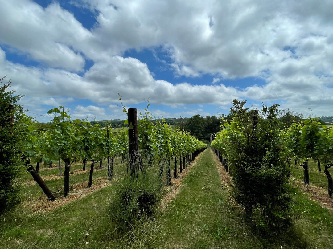 Wildwood Vineyard-Eridge必去景点