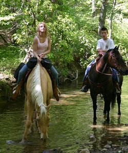 在马尔马里斯的骑马体验与转让图片