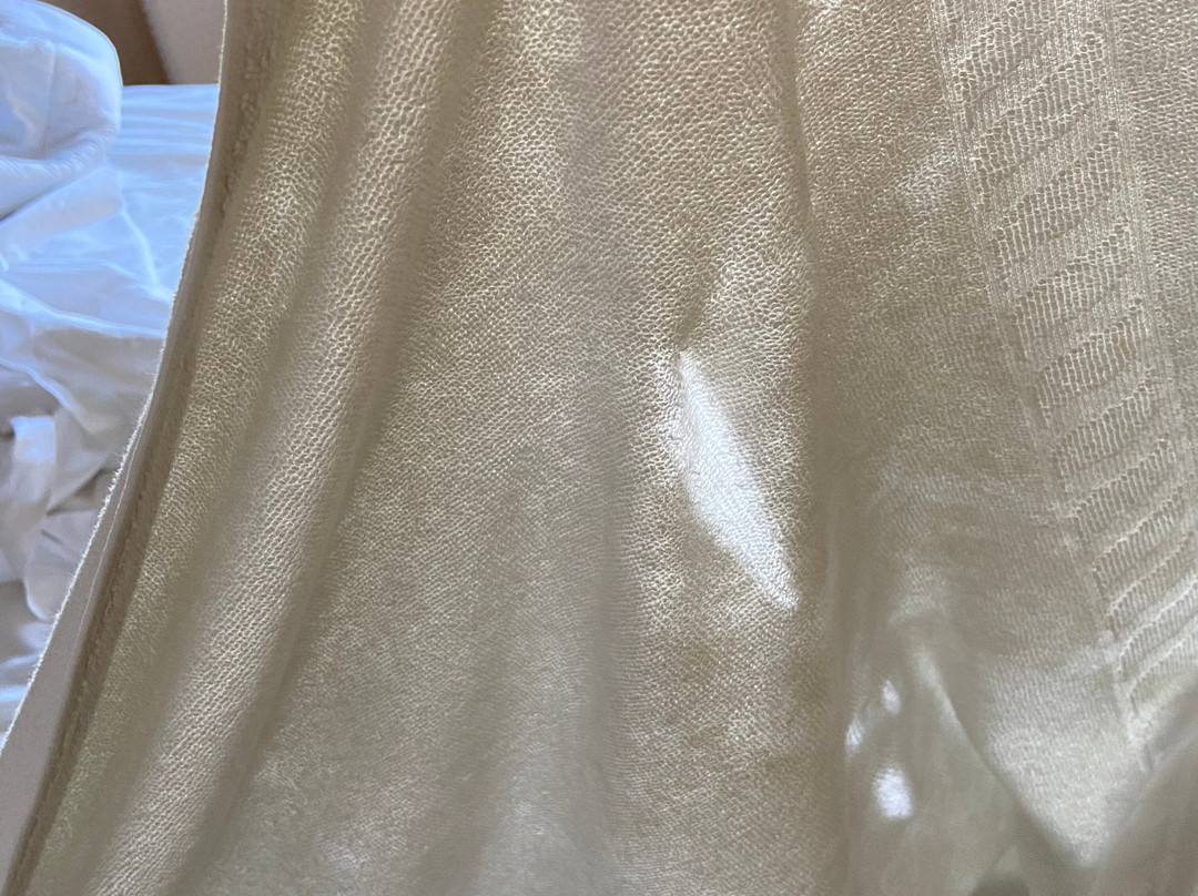 Europa Palace Hotel主图