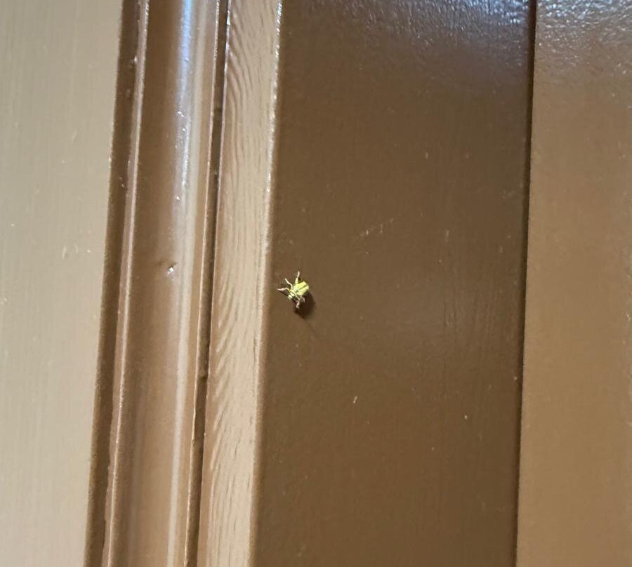 Ampuria Inn Hotel主图