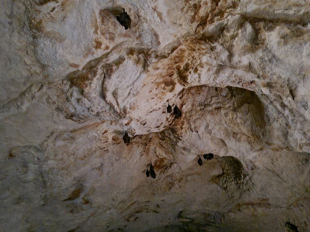 Cueva de Ambrosio-巴拉德罗必去景点