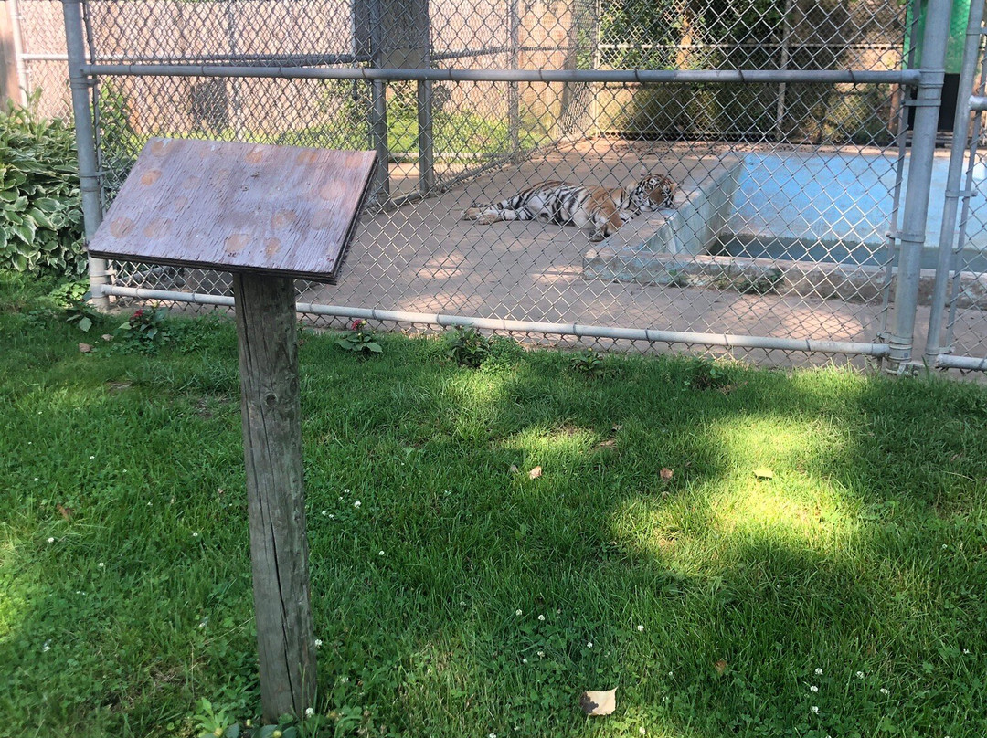 Wilderness Trails Zoo-伯奇伦必去景点