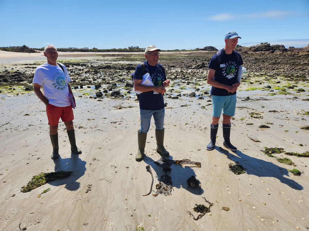 Guernsey Seaweed Foraging Tours-Castel必去景点