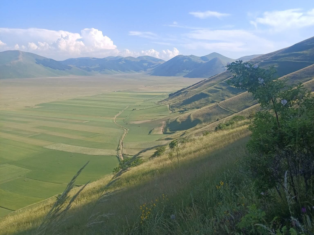 卡斯特鲁奇奥公园-Castelluccio di Norcia必去景点