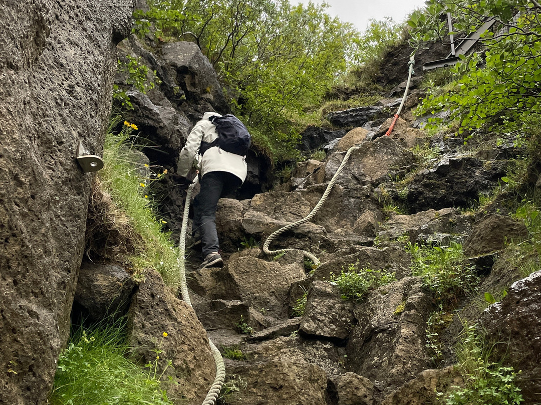 Asbyrgi (Shelter of the Gods)-Asbyrgi必去景点