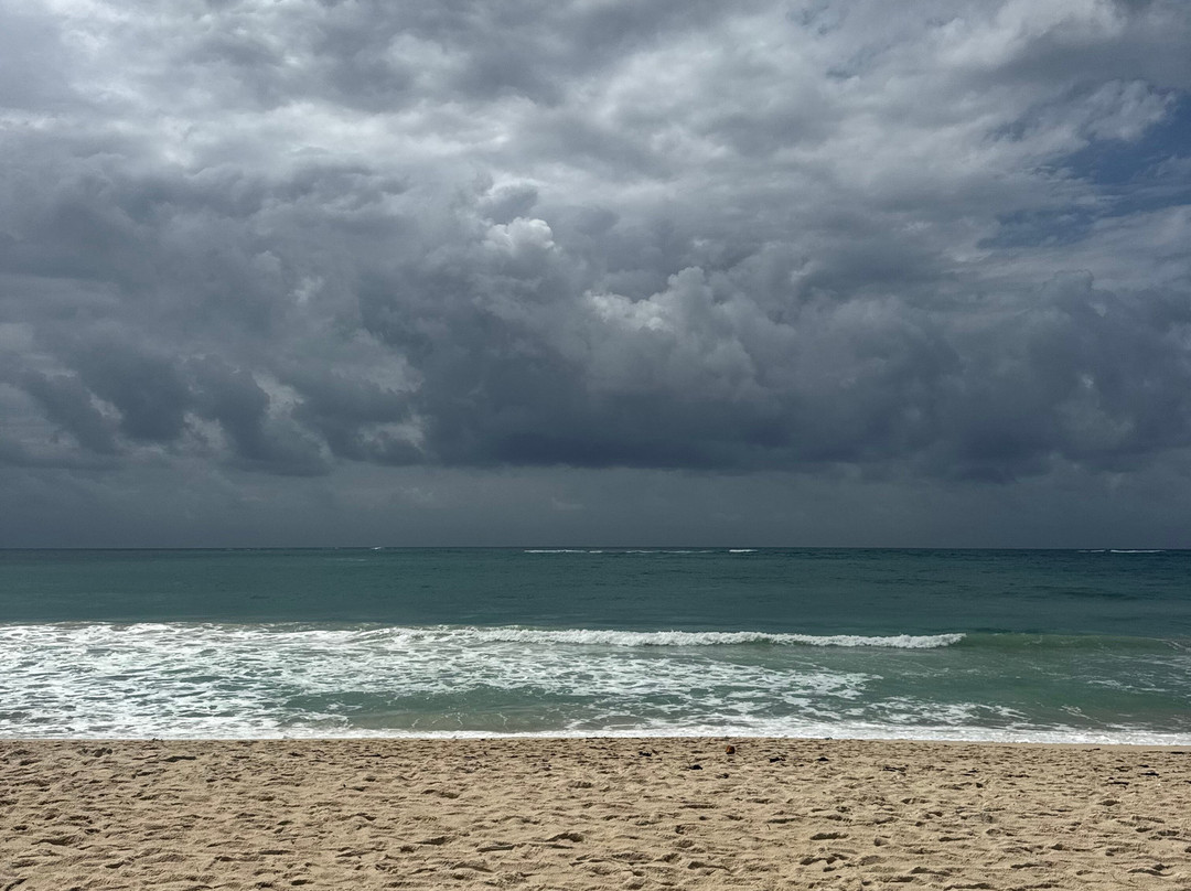 Mekaki Safaris-Ruaka必去景点