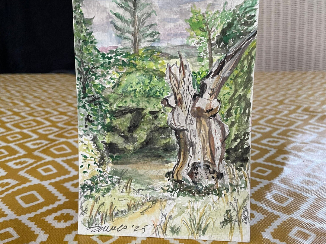 Wilberforce Oak-Keston必去景点