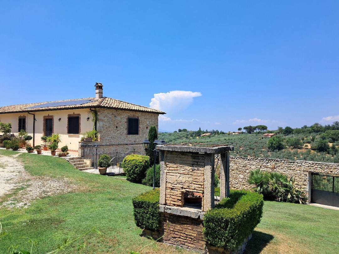 Agriturismo Santo Pietro di Coltodino主图