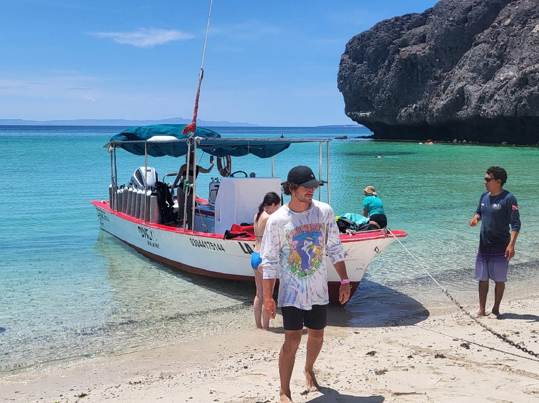 Dive in la Paz-拉巴斯必去景点