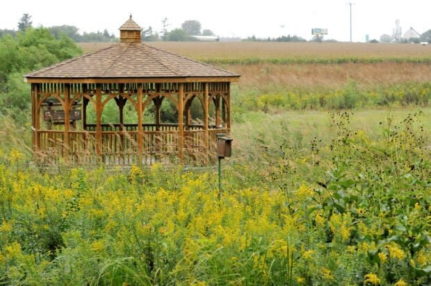 Douglas-Hart Nature Center-Mattoon必去景点