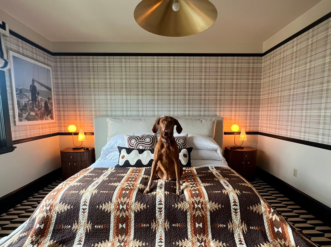 The Hotel Portsmouth主图