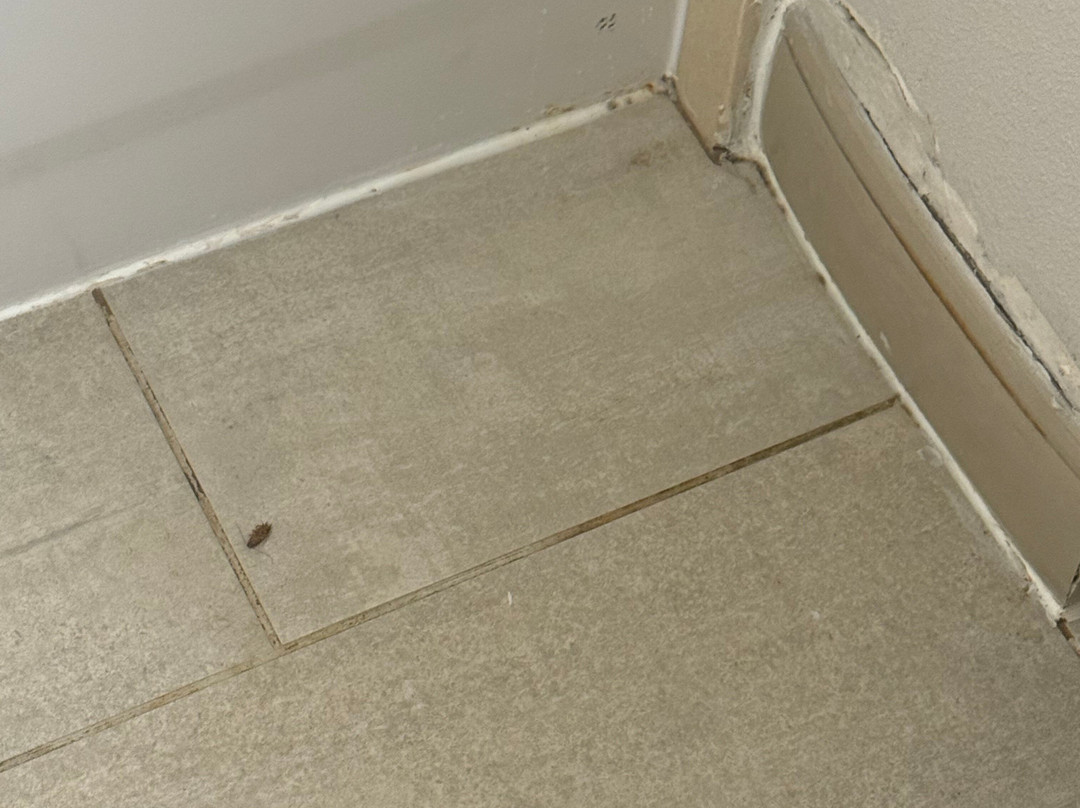 Holiday Inn Express & Suites McDonough by IHG主图