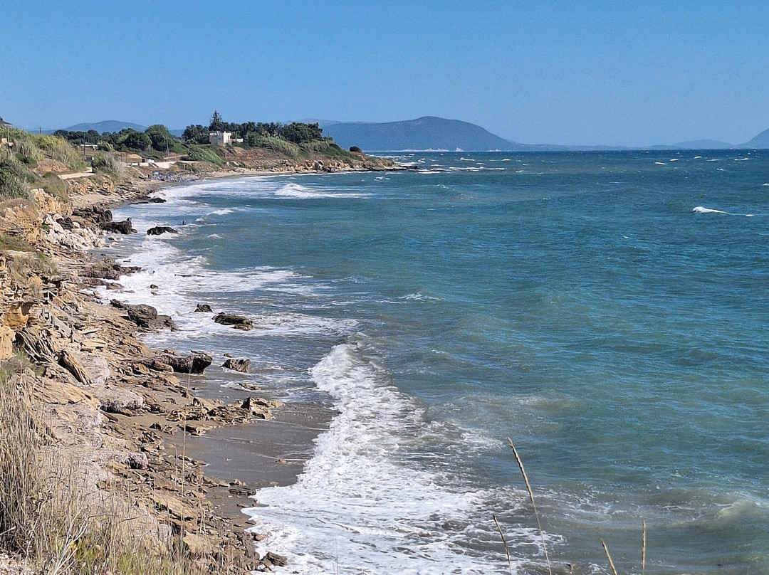 Adonis Hotel & Apartments主图