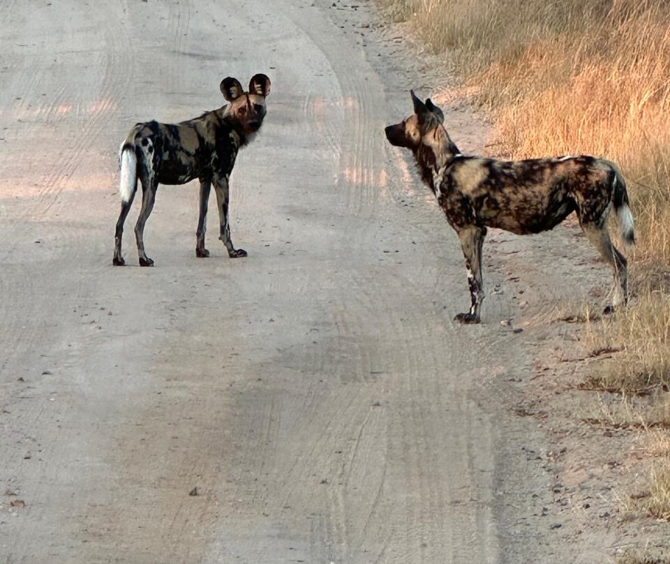 Famba Travel & Safaris-参宁必去景点