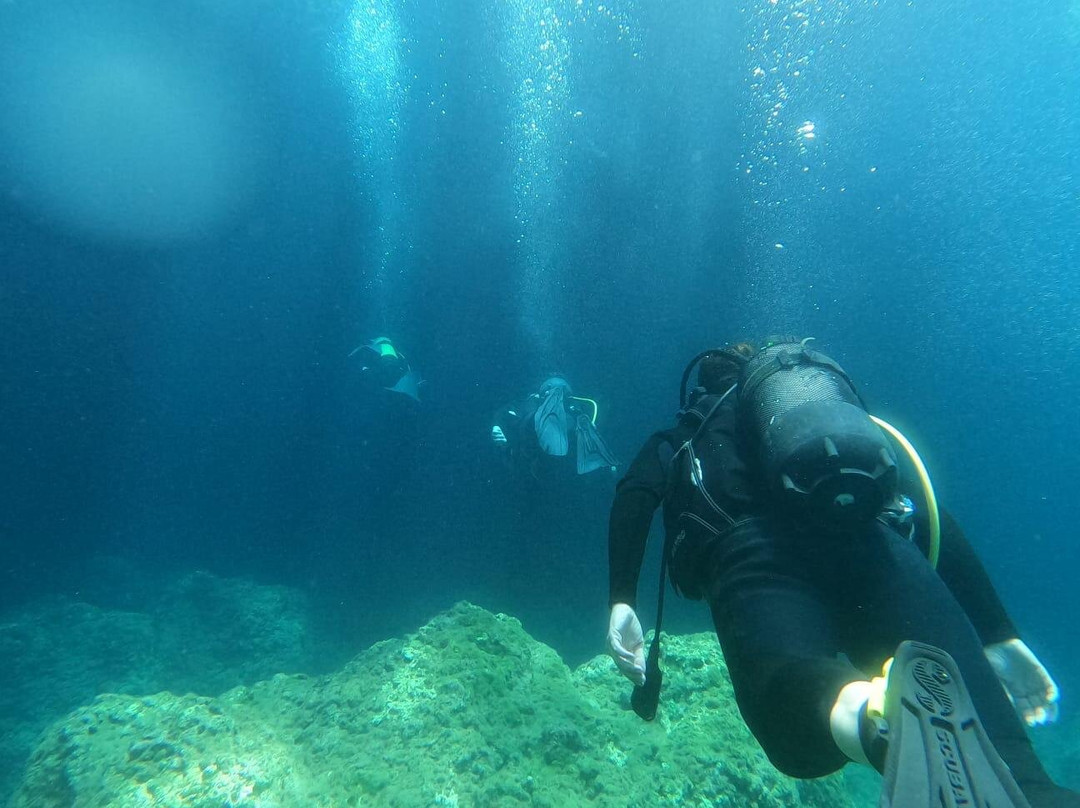 Royal Octopus DIVE CENTER-Kolymbari必去景点