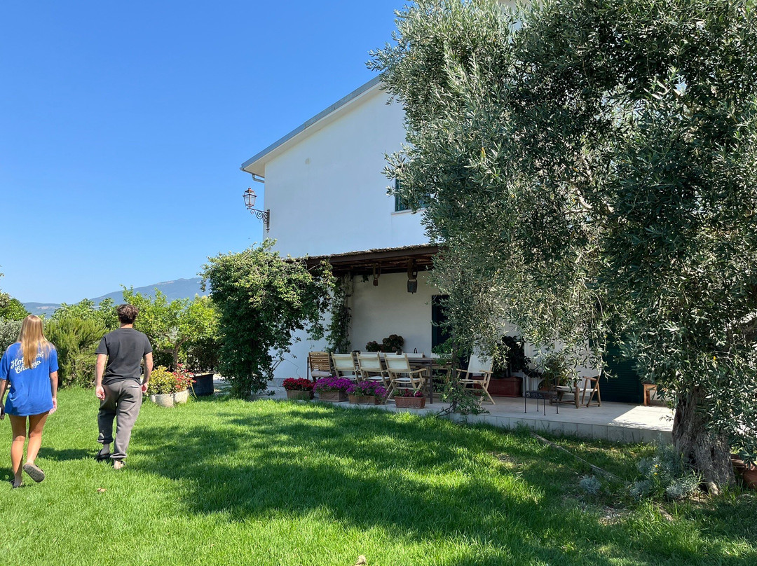 Casa Agricola Scorziello主图