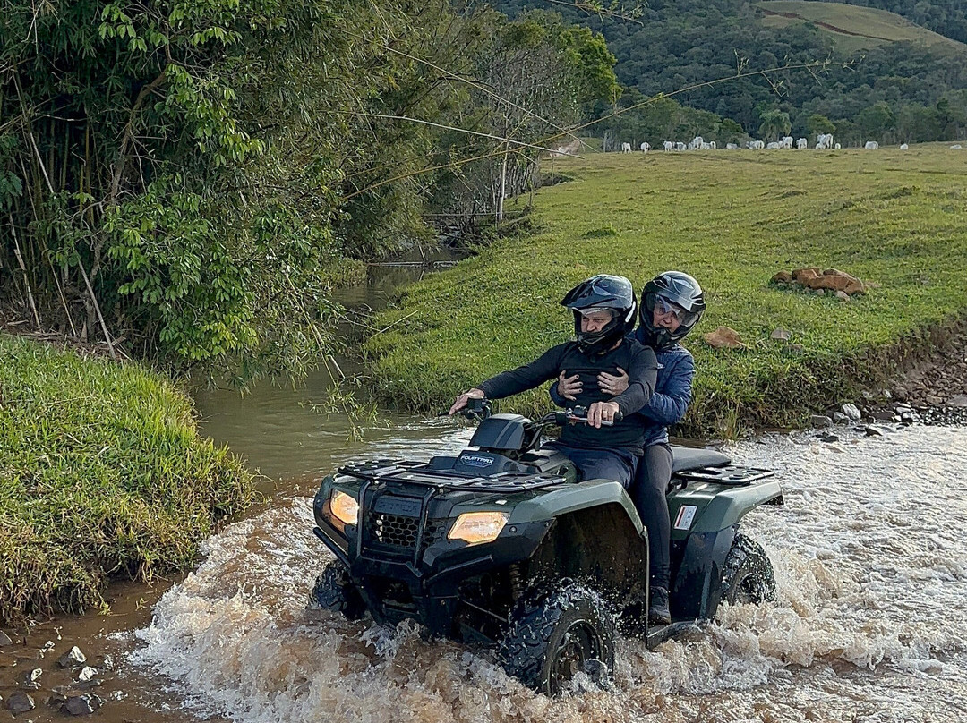 Graxaim do Mato-Praia Grande必去景点