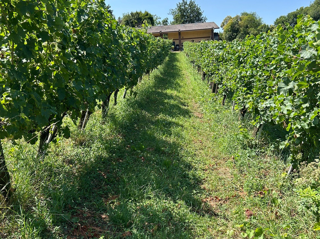 Cascina Belmonte-Muscoline必去景点
