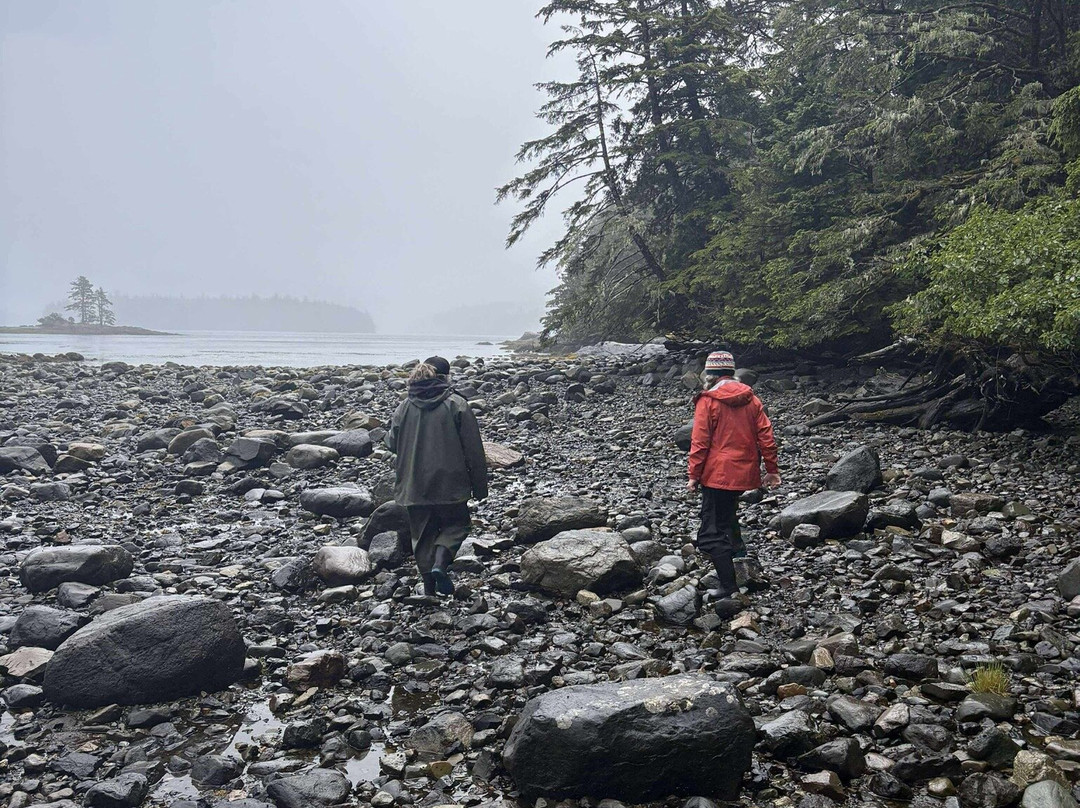 Green Coast-Daajing Giids必去景点