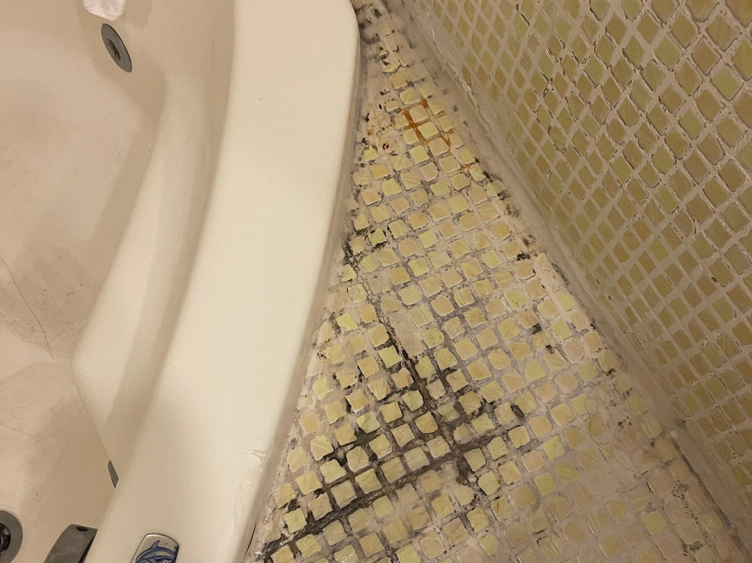 所罗门王酒店主图