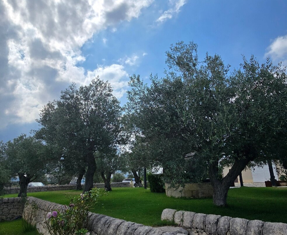 Agriturismo La Mela di Venere主图