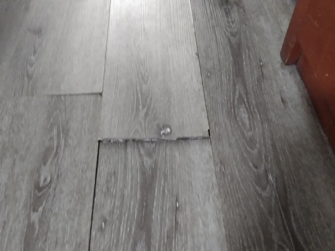 Econo Lodge Tupelo主图