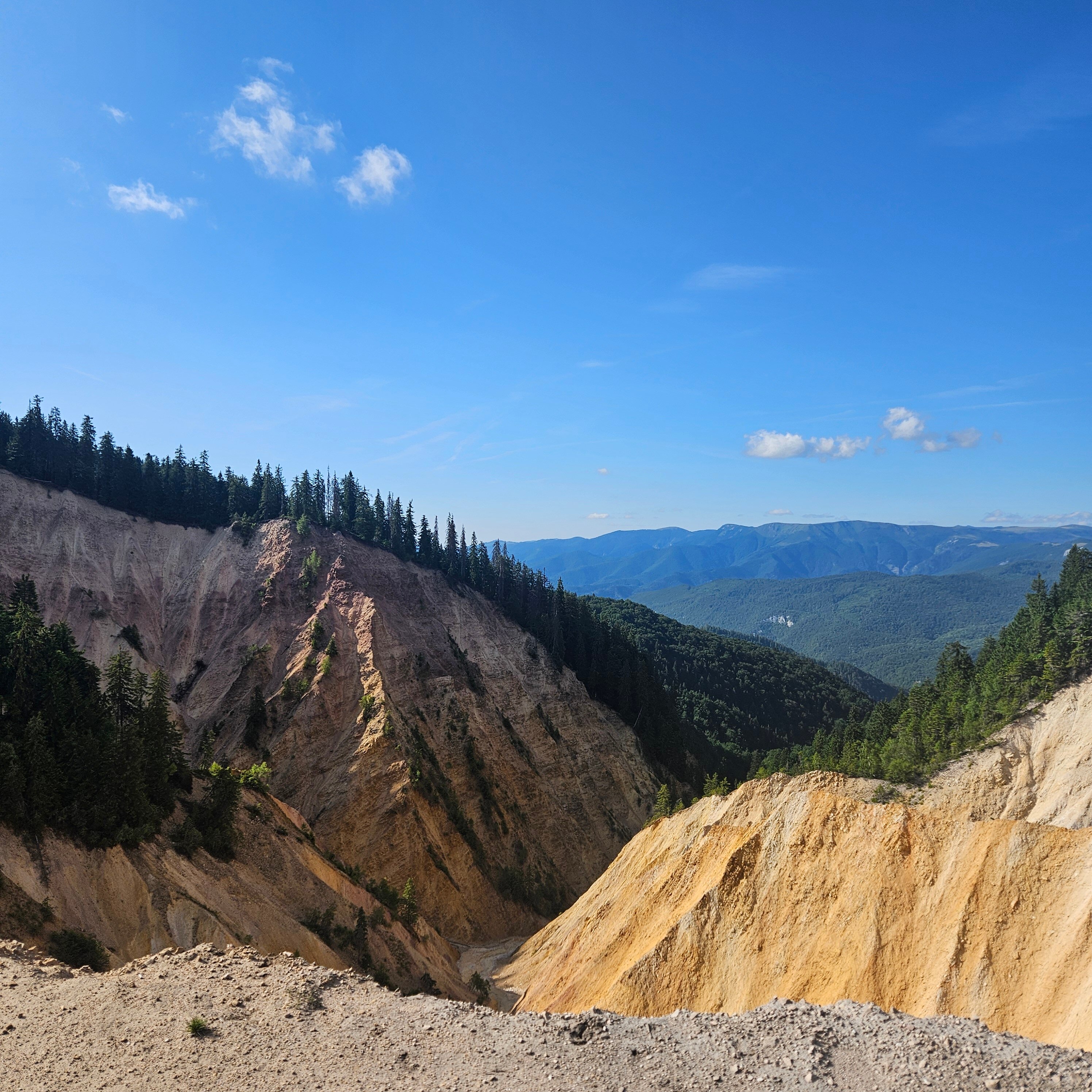 Four Seasons Hotel-官方