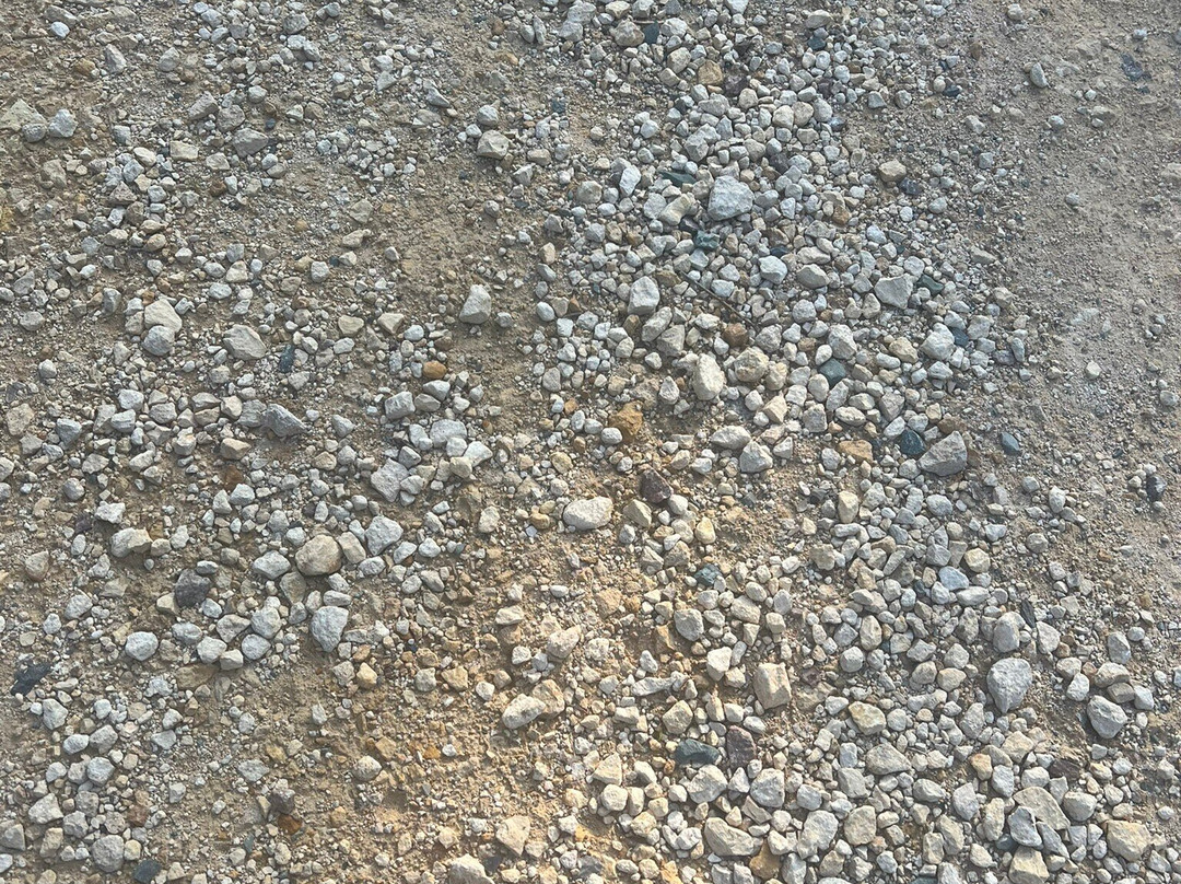 Fineshade Wood-科比必去景点