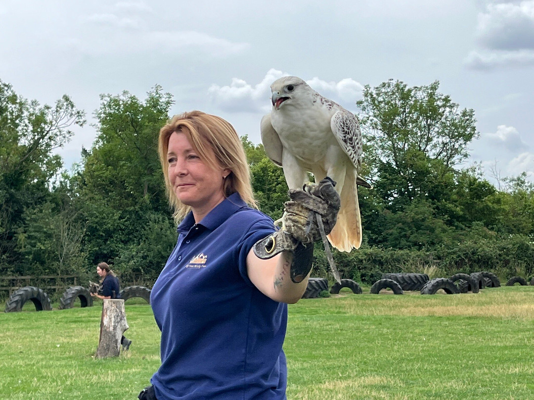 Herring Green Activity Farm-贝德福德必去景点
