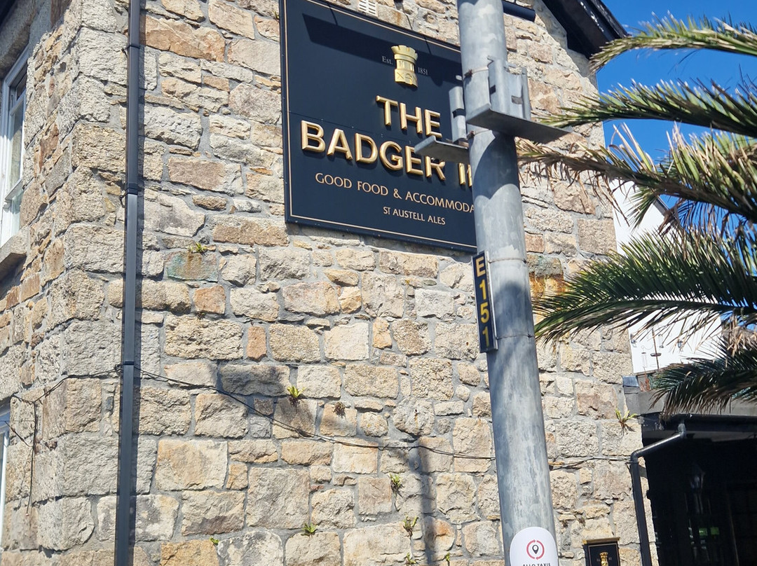 The Badger Inn主图