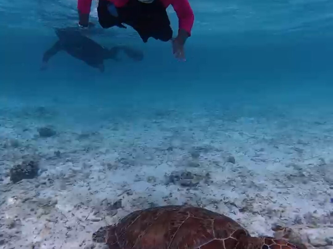 Bubbles Excursion-康杜玛岛必去景点