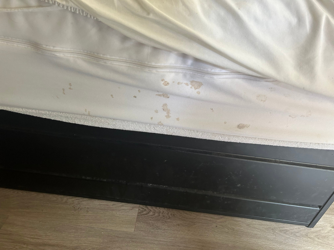 Super 8 by Wyndham Ruston主图