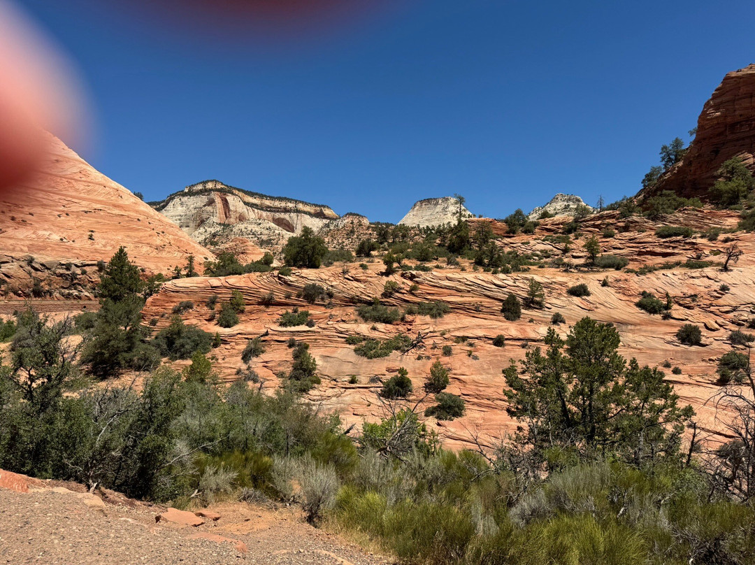 Zion - Mt. Carmel Highway-锡安国家公园必去景点