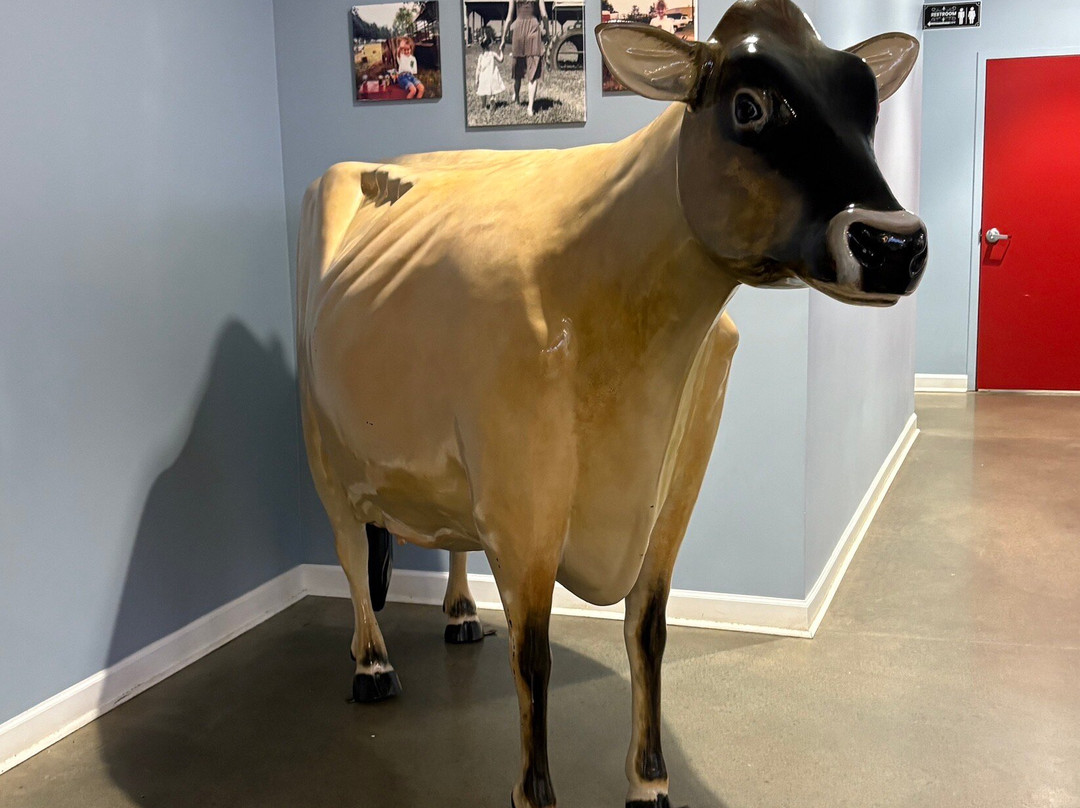 Chaney's Dairy Barn-鲍灵格林必去景点