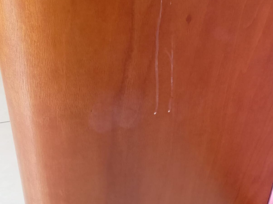 普拉特德阿罗酒店主图