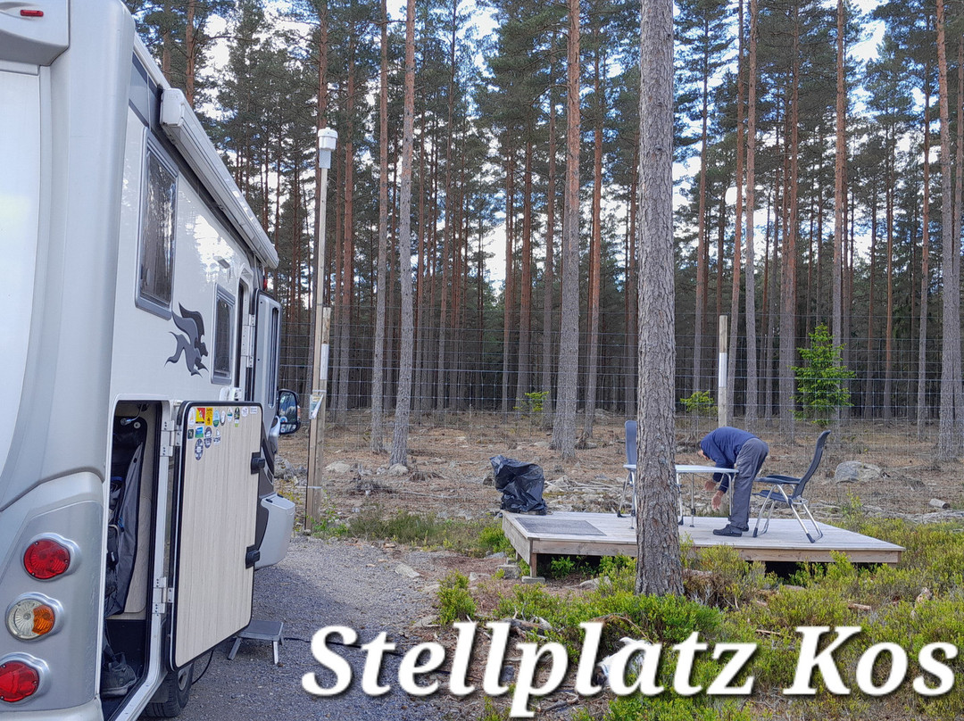 Kosta Safaripark-Kosta必去景点