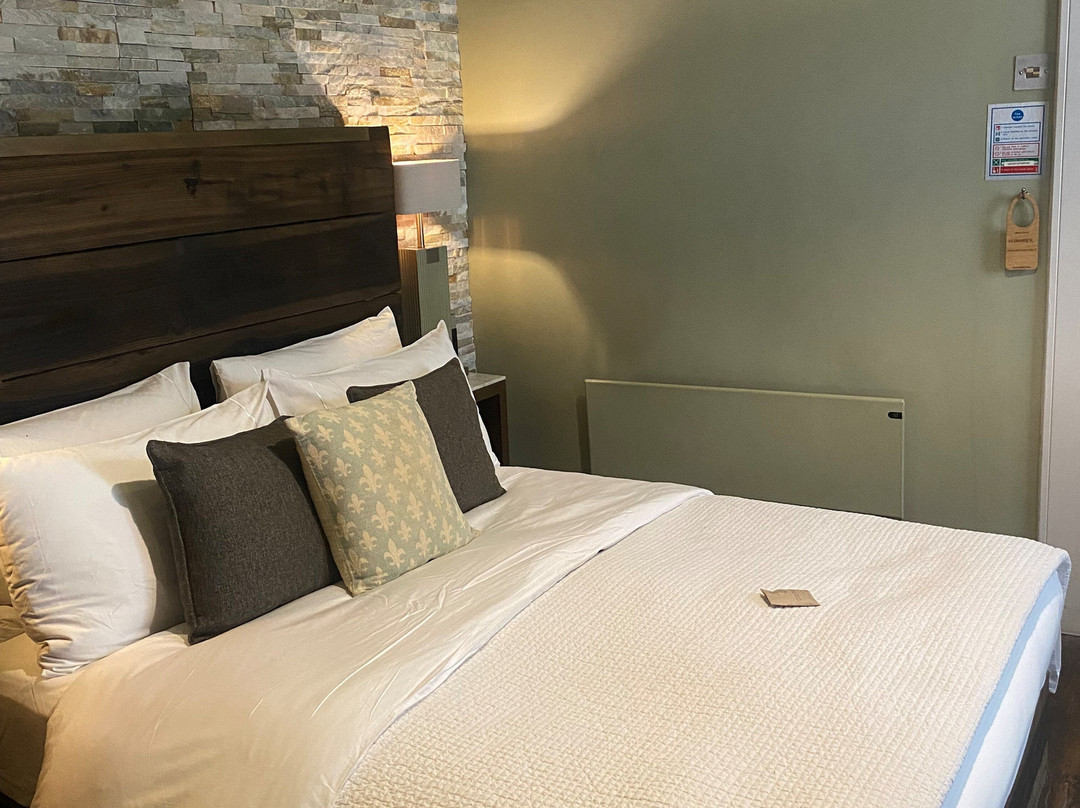 The Cow Hollow Hotel主图