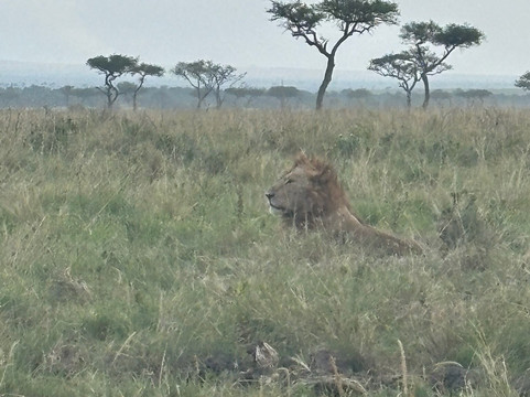 Afrika Sights and Adventures-蒙巴萨必去景点