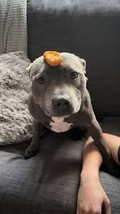 Prevail Skatehouse-普尔必去景点