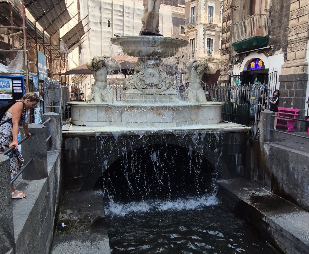 Fontana dell'Amenano-卡塔尼亚必去景点