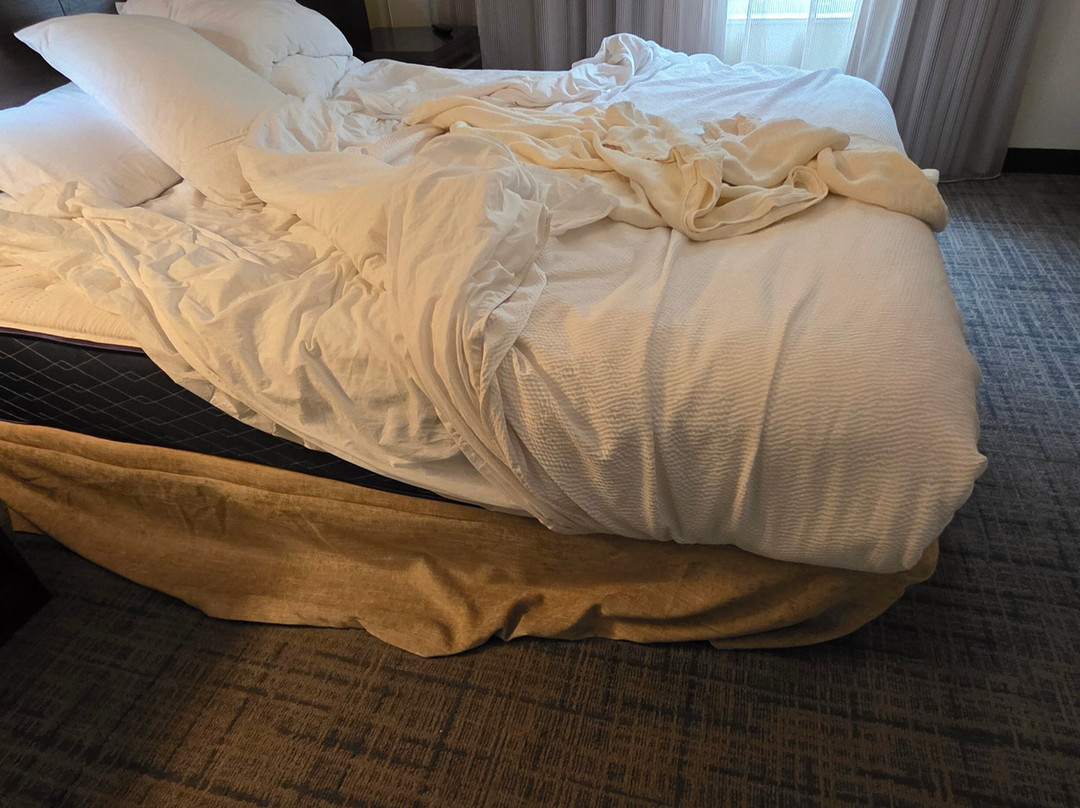 Residence Inn by Marriott Albany Washington Avenue主图