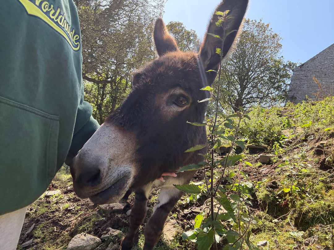 Geise Farm-Thurso必去景点