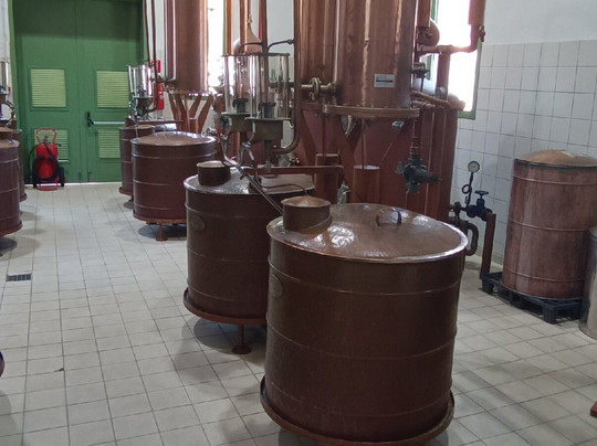 Ouzo Museum: The World of Ouzo-Plomari必去景点