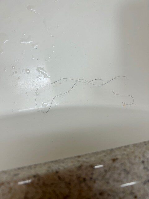 里士满速8酒店主图