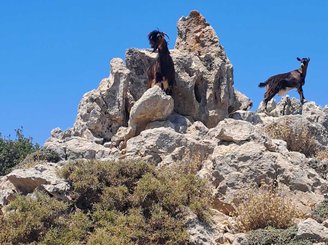Adventure Beyond Chania-Kolymbari必去景点